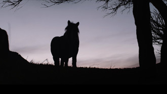 ELENA ASINS – GÉNESIS